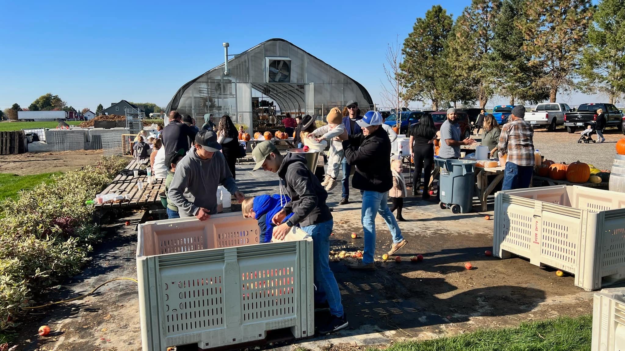 People gathering at farm market with pumpkins and bins.