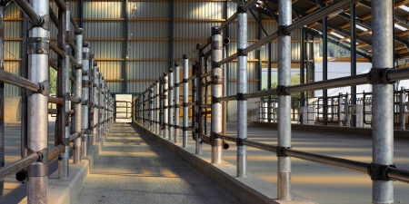 Empty cattle barn with metal railings and sunlight